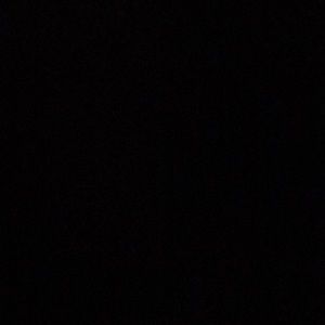 Meet your Posher, Rory